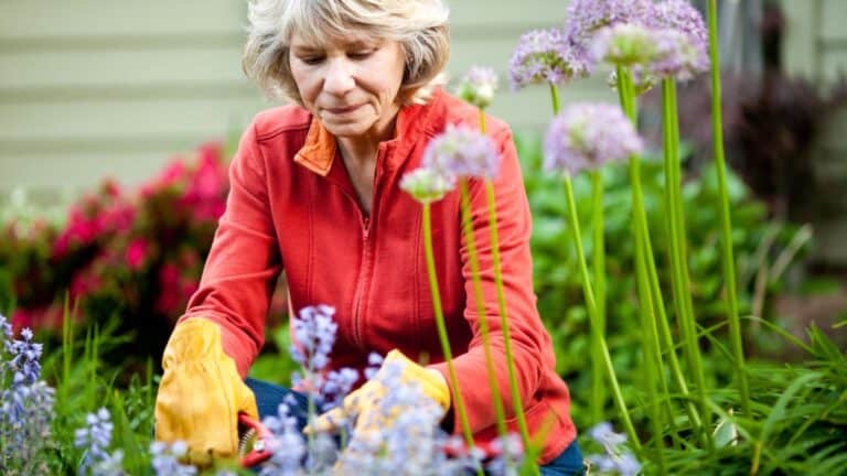 How Gardening Calmed My Anxiety