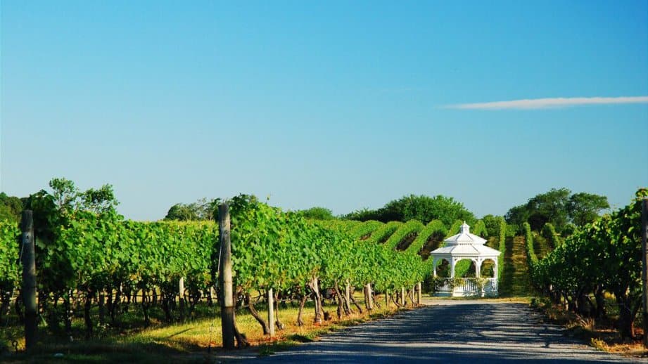 long island, NY vineyard with gazebo