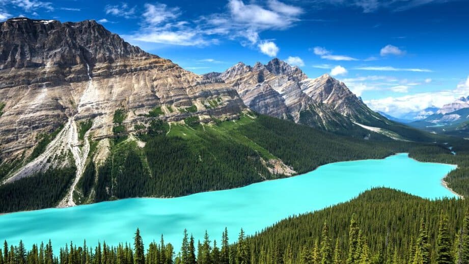 Lake peyto in banff national park canada